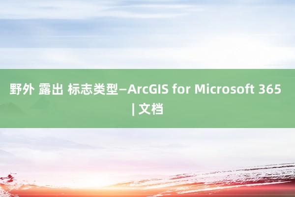 野外 露出 标志类型—ArcGIS for Microsoft 365 | 文档