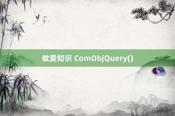 做爱知识 ComObjQuery()