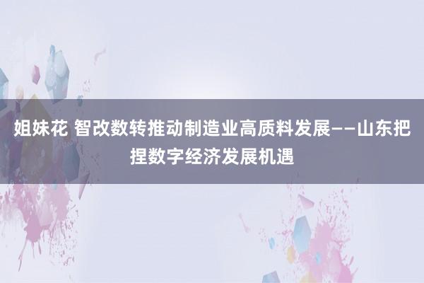 姐妹花 智改数转推动制造业高质料发展——山东把捏数字经济发展机遇