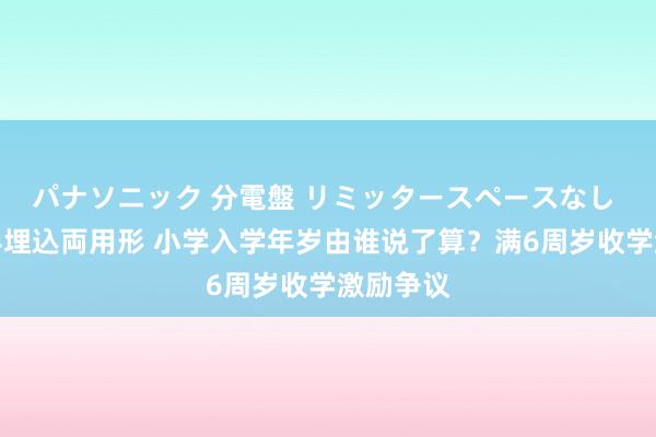 パナソニック 分電盤 リミッタースペースなし 露出・半埋込両用形 小学入学年岁由谁说了算？满6周岁收学激励争议