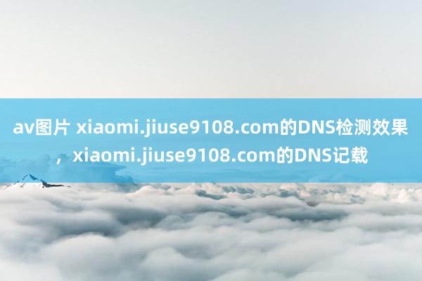 av图片 xiaomi.jiuse9108.com的DNS检测效果，xiaomi.jiuse9108.com的DNS记载