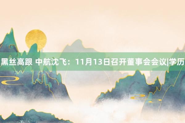 黑丝高跟 中航沈飞：11月13日召开董事会会议|学历