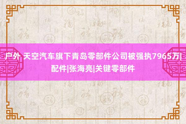 户外 天空汽车旗下青岛零部件公司被强执7965万|配件|张海亮|关键零部件