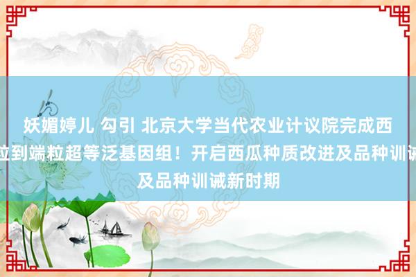 妖媚婷儿 勾引 北京大学当代农业计议院完成西瓜属端粒到端粒超等泛基因组！开启西瓜种质改进及品种训诫新时期